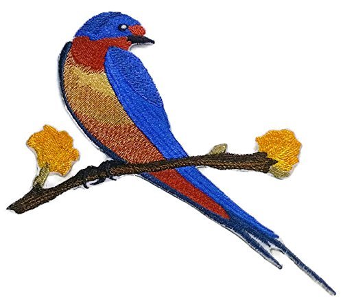 Nature Weaved in Threads, Amazing Birds Kingdom [Barn Swallow ] [Custom and Unique] Embroidered Iron on/Sew Patch (5.26" x 4.7") [Made in USA]