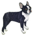 Boston Terrier (4.5" x 4.5") embroidered iron-on patch