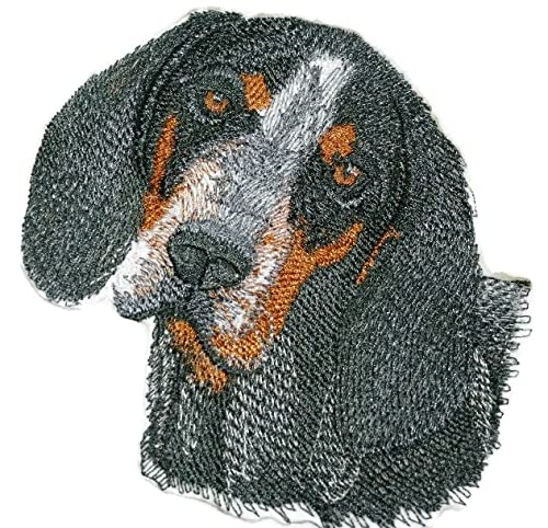 Parche bordado termoadhesivo con cara de perro Coonhound azul [11,4 x 11,4 cm] [Hecho en EE. UU.]