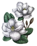 Magnolia Blooms (5.85" x 7.51") embroidered iron-on patch