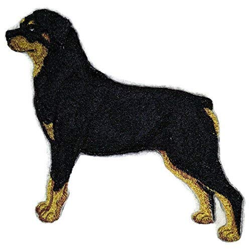 Amazing Custom Dog Portraits [Rottweiler] Embroidered Iron On/Sew Patch (6.46" x 5")[Made in USA]