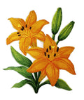 Lily Blooms (5.87" x 7.07") embroidered iron-on patch