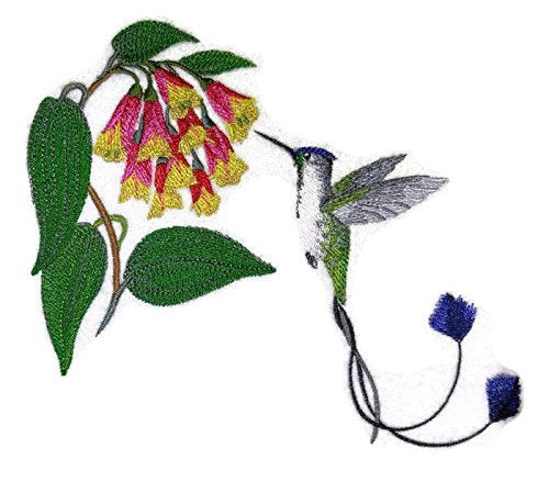 Naturaleza entretejida en hilos, Reino de las aves asombrosas [Maravillosos colibríes de cola de espátula] [Personalizado y único] Parche bordado para planchar o coser [7.5" x 6"] [Hecho en EE. UU.]