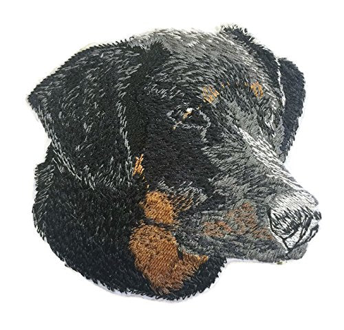 Amazing Dog Faces [Doberman-2 [Custom and Unique] Embroidered Iron on/Sew Patch (4" x 3.7") [Made in USA]