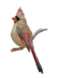 Nature Weaved in Threads, Birds Kingdom [Cardinal (Female) ] [] / (3.83" x 6") [] embroidered iron-on patch