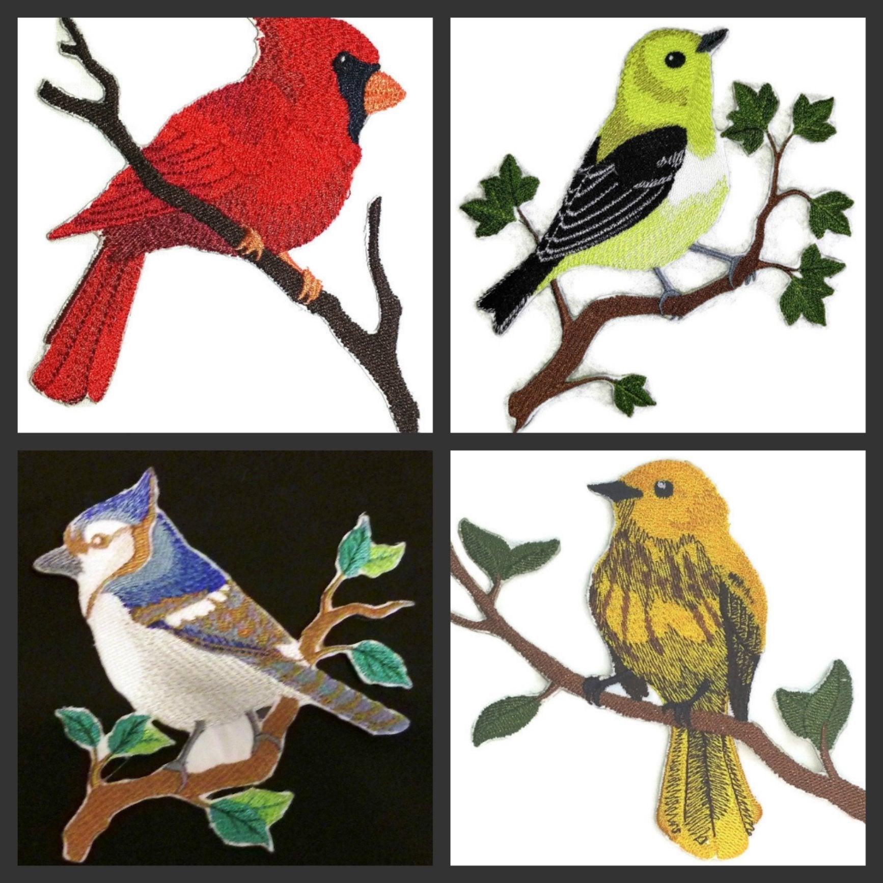 Nature Weaved in Threads, Amazing Birds Kingdom [Single Carolina Wren Bird ] [Custom and Unique] Embroidered Iron on/Sew Patch (5.9" x 5.4") [Made in USA]