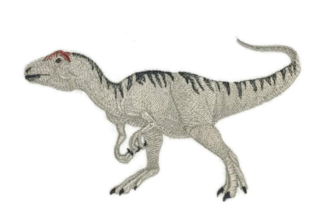 Custom and Unique Dinosaurs [Allosaurus ](6.85" x 4.3") [Made in USA]