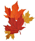Fall at Its Best Unique Portraits [ Maple Leaf Montage ] / (7" x 7.8") [] embroidered iron-on patch