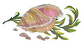Ocean Calling [ Sea Shell in Watercolor ] / (9.4" x 5") ] embroidered iron-on patch