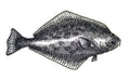 Halibut Fish (6" x 3.17") embroidered iron-on patch