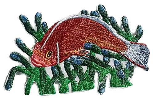 Nature's Bounty Beautiful Custom Fish Portraits [ Pink Anemone Fish ] Embroidered Iron On/Sew patch (6" x 6") Made in USA