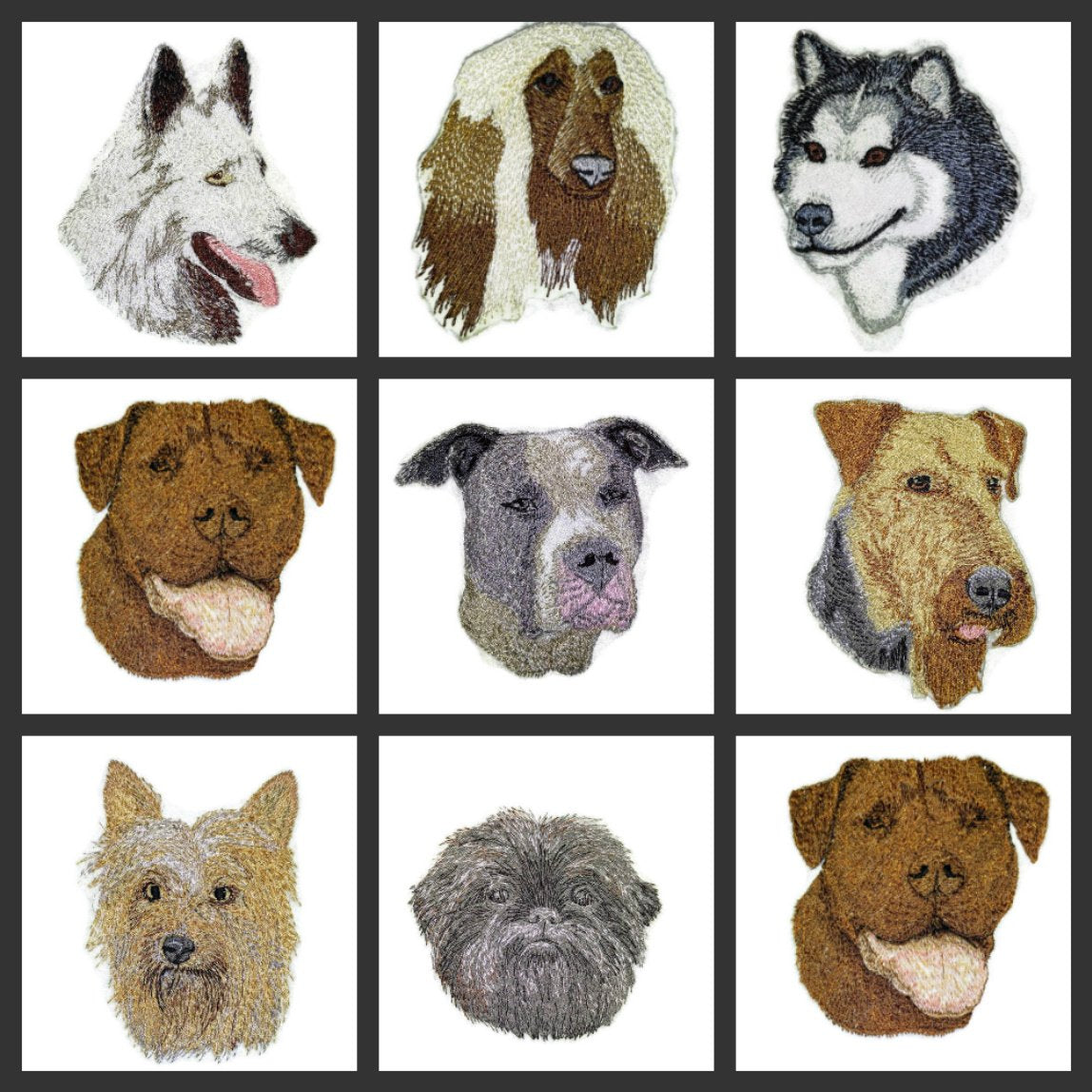 Amazing Custom Dog face Portraits [Australian Kelpie ] Custom and Unique] Embroidered Iron on/Sew Patch (3.5" x 4") [Made in USA]