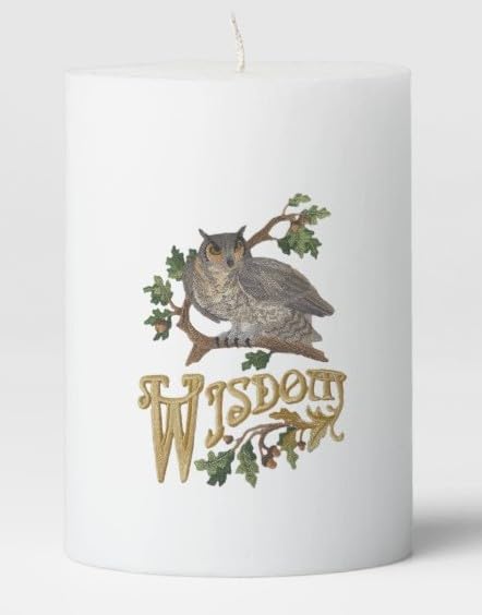 Nature Weaved in Threads, Amazing Birds Kingdom [Owl of Wisdom ] [Custom and Unique] Embroidered Iron on/Sew Patch (5.87" x 8")