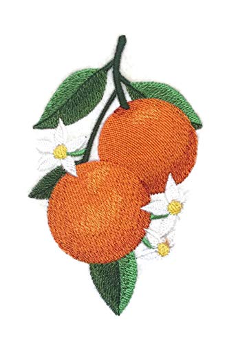 Naturaleza entretejida en hilos, frutas asombrosas [Naranjas] [Personalizado y único] Parche bordado para planchar o coser [12,2 x 8,5 cm] [Hecho en EE. UU.]