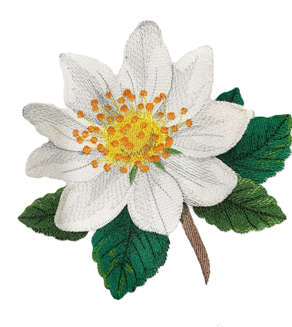 Iris Flower Mountain Avens Embroidered Iron on/Sew Patch (5.94" x 5.86")