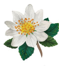 Iris Flower Mountain Avens (5.94" x 5.86") embroidered iron-on patch