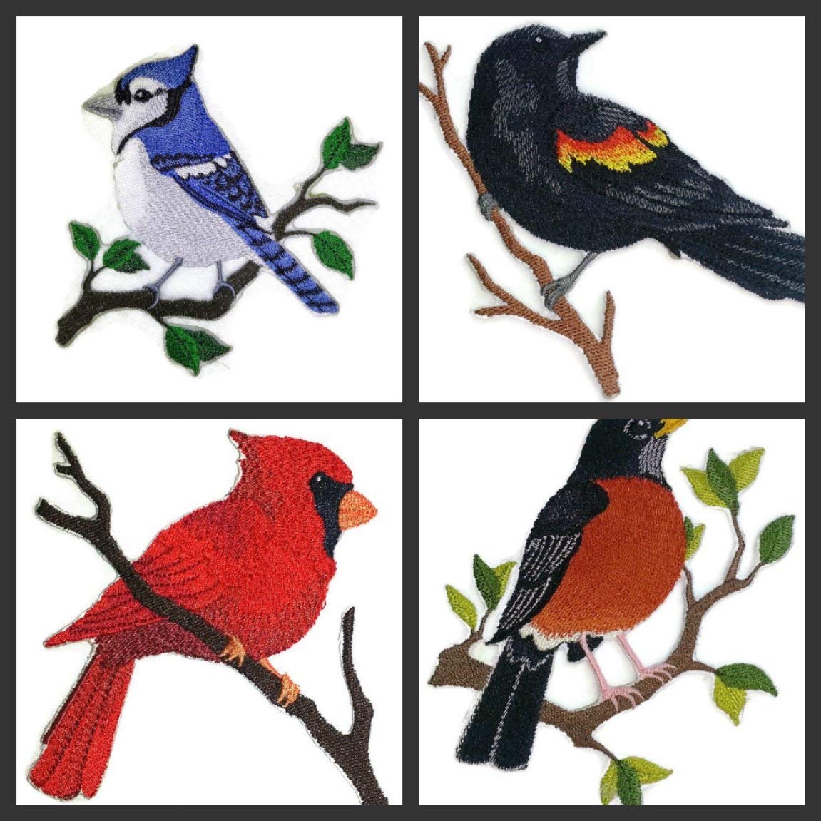 Nature Weaved in Threads, Amazing Birds Kingdom [Single Blue Jay Bird ] [Custom and Unique] Embroidered Iron on/Sew Patch (5" x 4.5") [Made in USA]