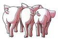 Nature Weaved in Threads, Animals [Pig Trio - Back] [] / (7.8" x 5.18") [ embroidered iron-on patch