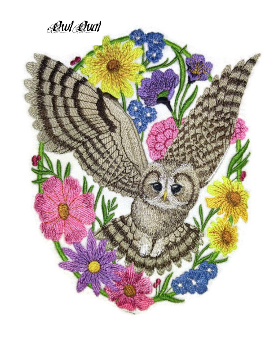 Nature Weaved in Threads, Amazing Birds [Woodland Whimsy Owl Oval [Custom and Unique] Embroidered Iron on/Sew Patch (7.12" x 5.85") [Made in USA]