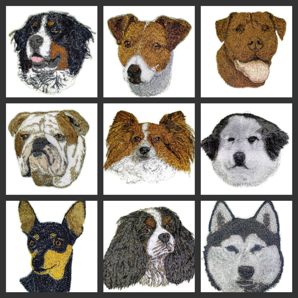 Amazing [ French Bulldog Dog Face] Embroidery Iron On/Sew Patch (4" x 2.78")[Made in USA]