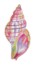 Ocean Calling Sea Shell [ Tulip Shell in Watercolor ] / (4.65" x 7.78") ] embroidered iron-on patch