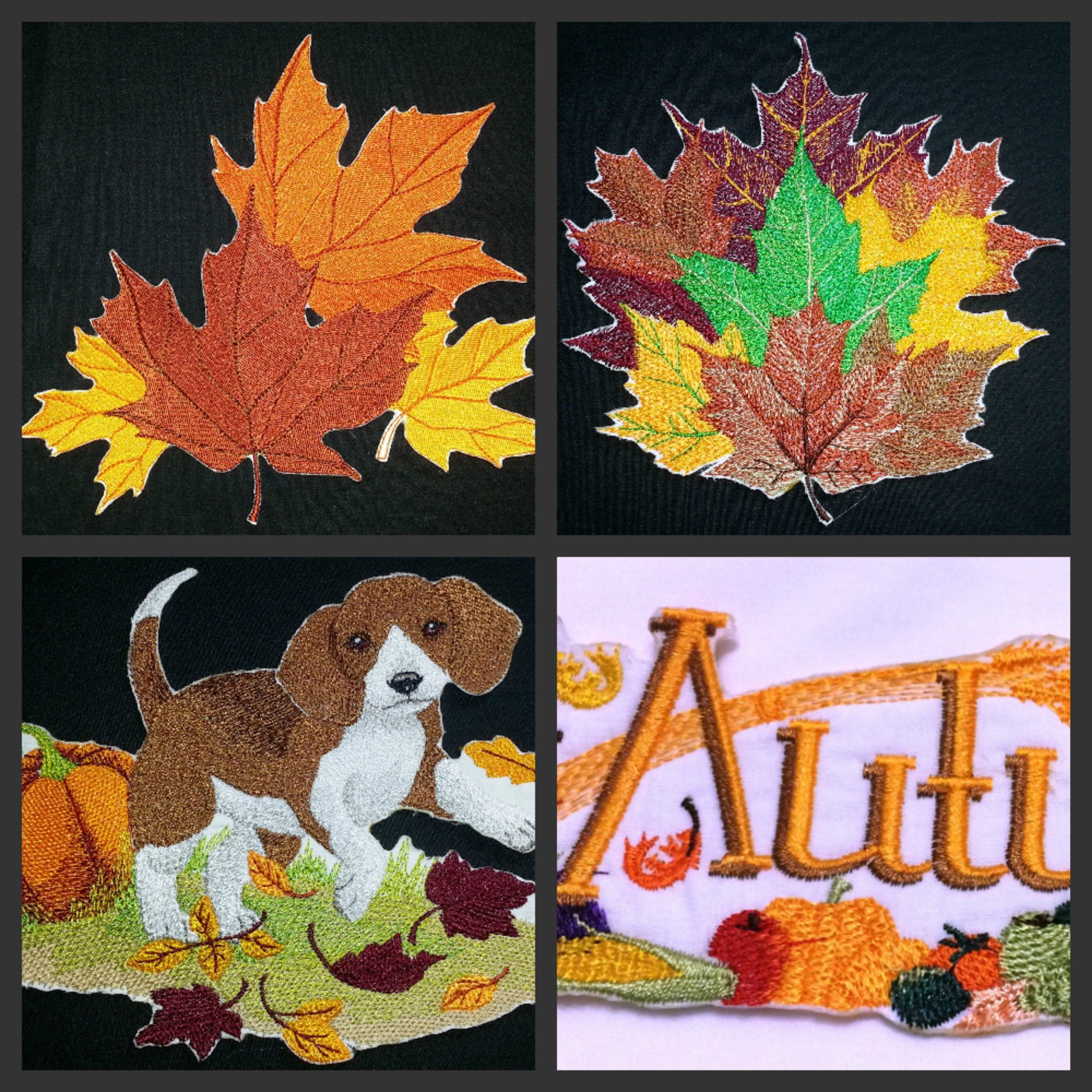 Otoño en su máxima expresión: Retratos únicos [Hojas de arce] Parche bordado para planchar o coser [12,5 cm x 12,2 cm] [Hecho en EE. UU.]