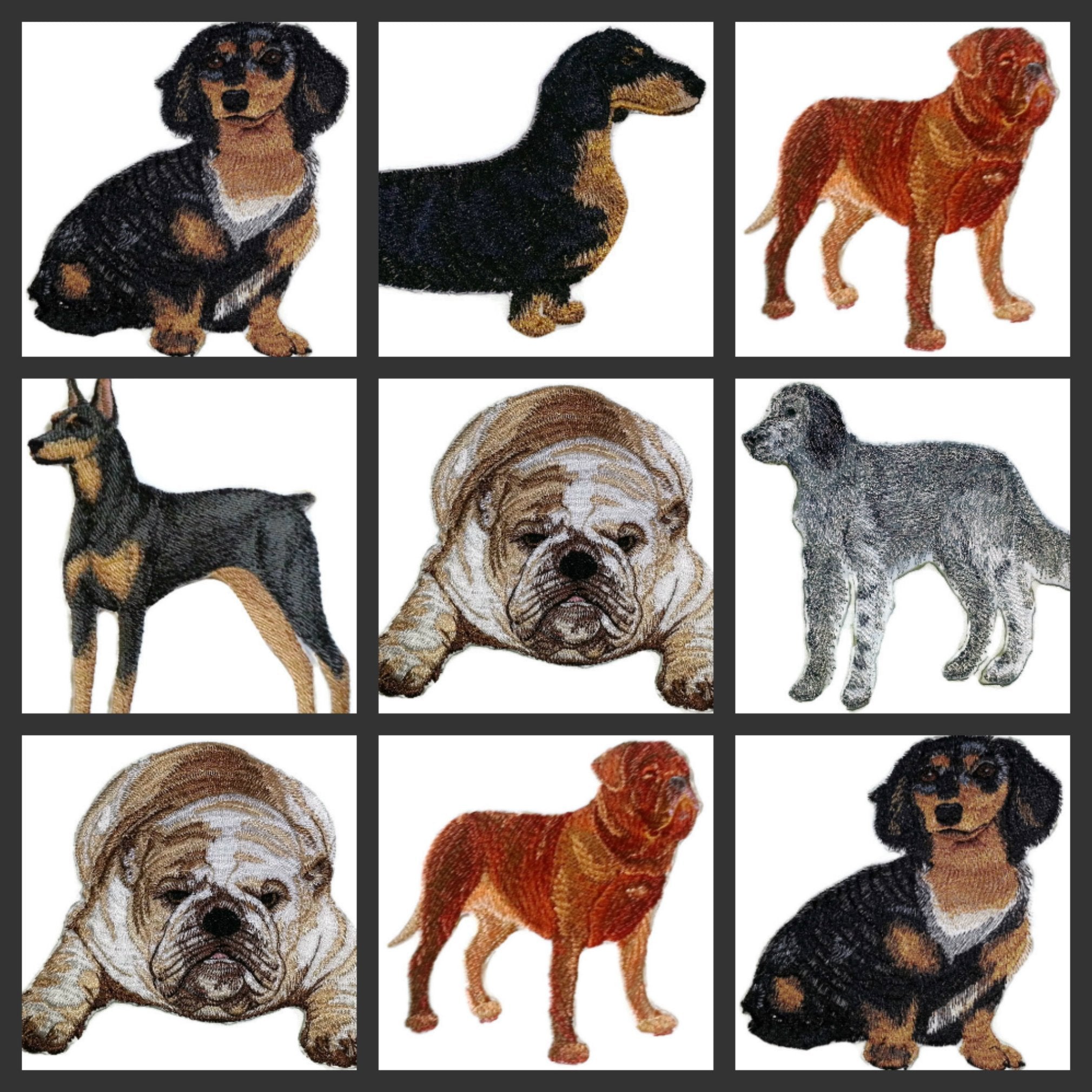 Impresionantes retratos de perros personalizados [Dachshund de pelo largo] Parche bordado para planchar o coser [15 x 13 cm] [Hecho en EE. UU.]