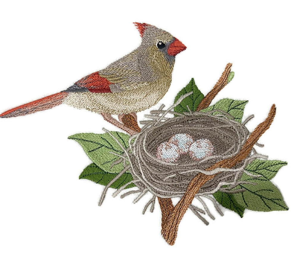 Parche bordado para planchar o coser con diseño de pájaro cardenal y nido de Beyond Vision (19,8 x 14,7 cm)