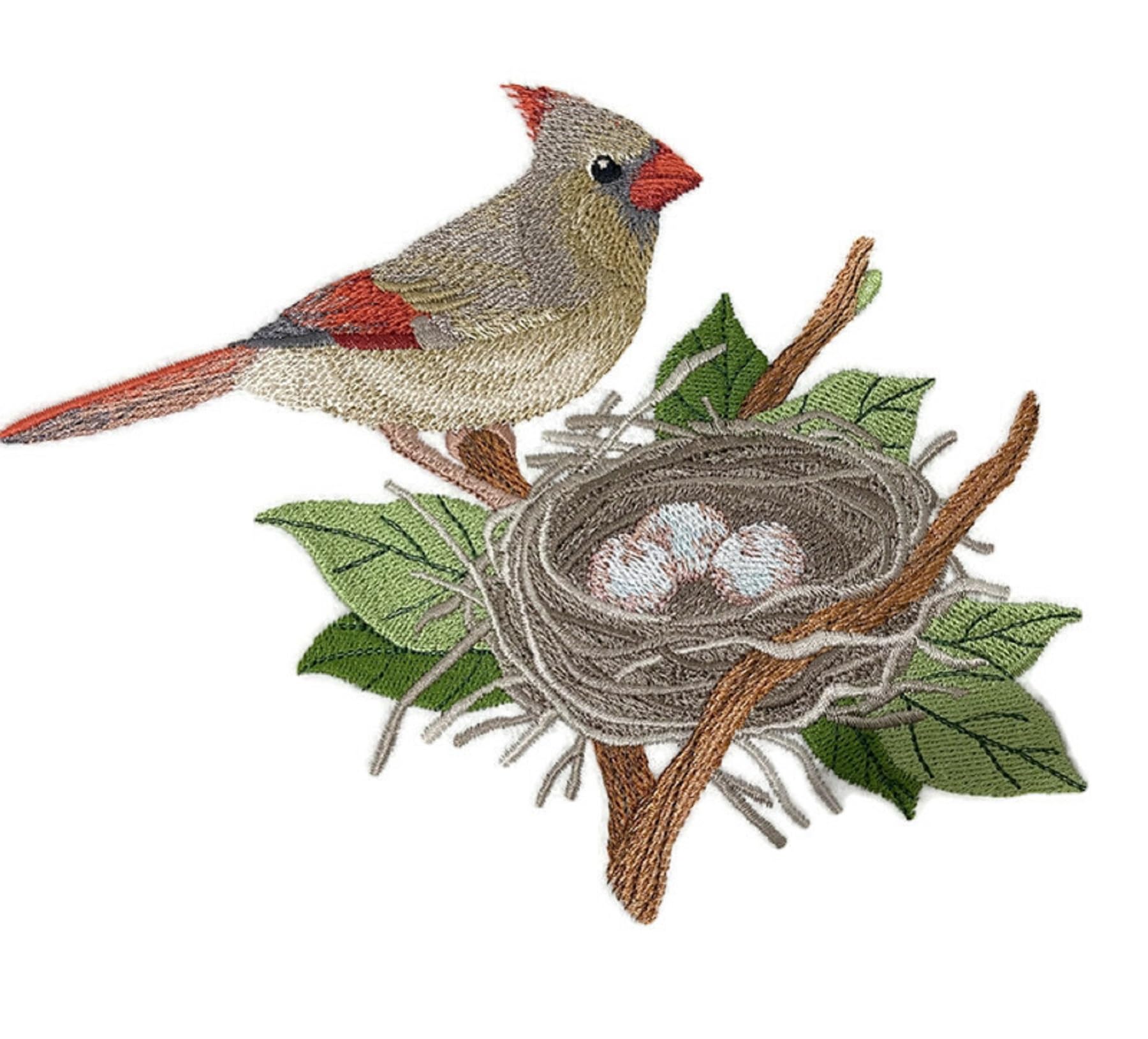 Parche bordado para planchar o coser con diseño de pájaro cardenal y nido de Beyond Vision (19,8 x 14,7 cm)