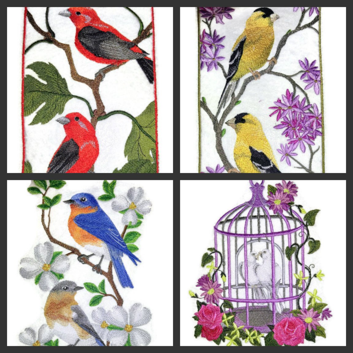 Nature Weaved in Threads, Amazing Birds Kingdom [ Goldfinch Panel ] [Custom and Unique] Embroidered Iron on/Sew Patch (9.42" x 4.75") [Made in USA]