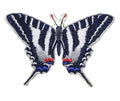 Zebra Swallowtail Butterfly (5.5" x 2.92") embroidered iron-on patch