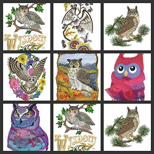Nature Weaved in Threads, Amazing Birds [Sunset Owll [Custom and Unique] Embroidered Iron on/Sew Patch (7.8" x 5.53") [Made in USA]
