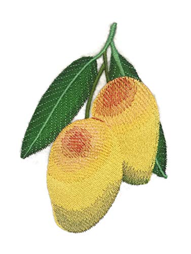 Naturaleza entretejida en hilos, frutas asombrosas [Mangos] [Personalizado y único] Parche bordado para planchar o coser [5.1" x 3.73"] [Hecho en EE. UU.]