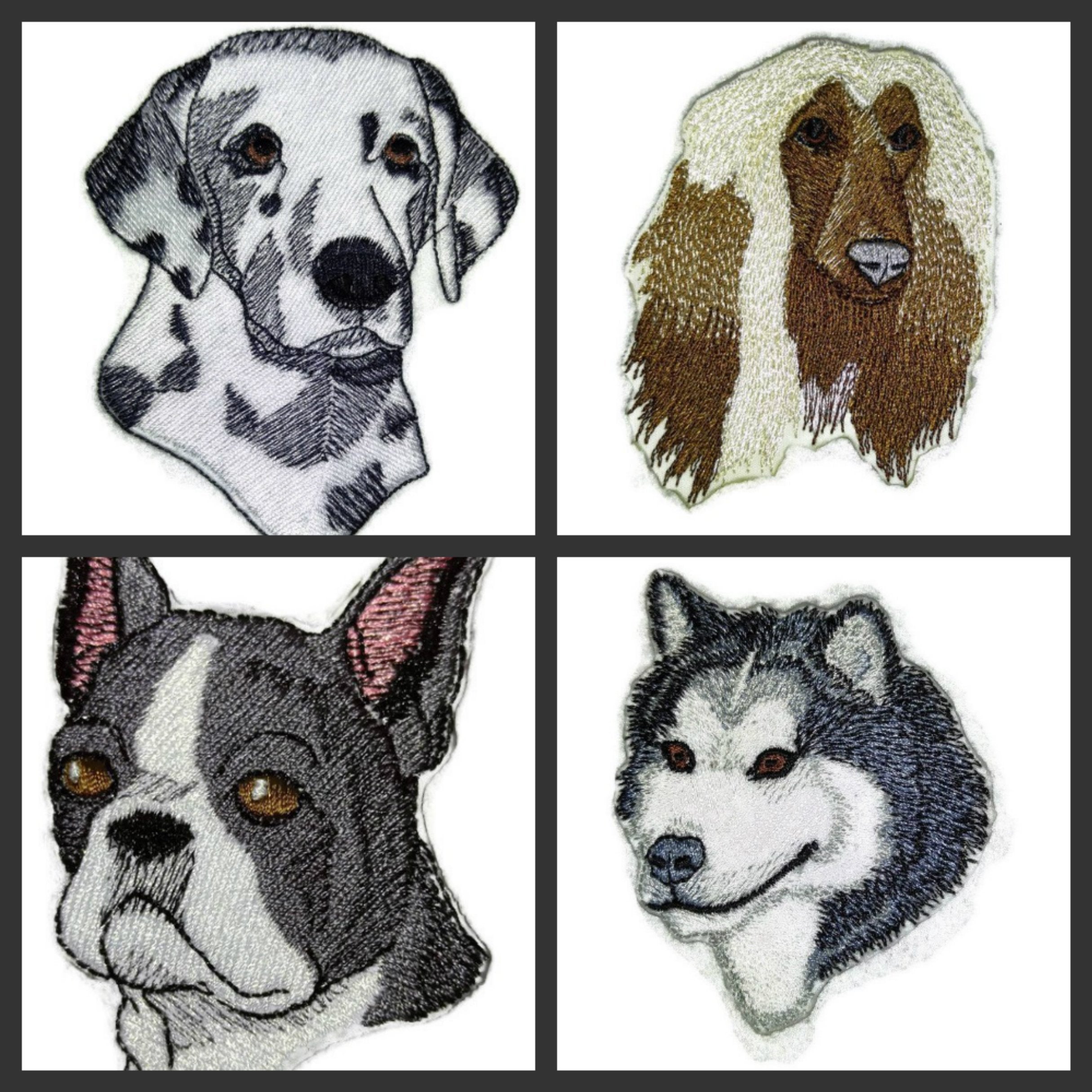 Amazing [Dalmatian Dog Face ] Embroidery Iron On/Sew Patch (4" x 2.5")[Made in USA]
