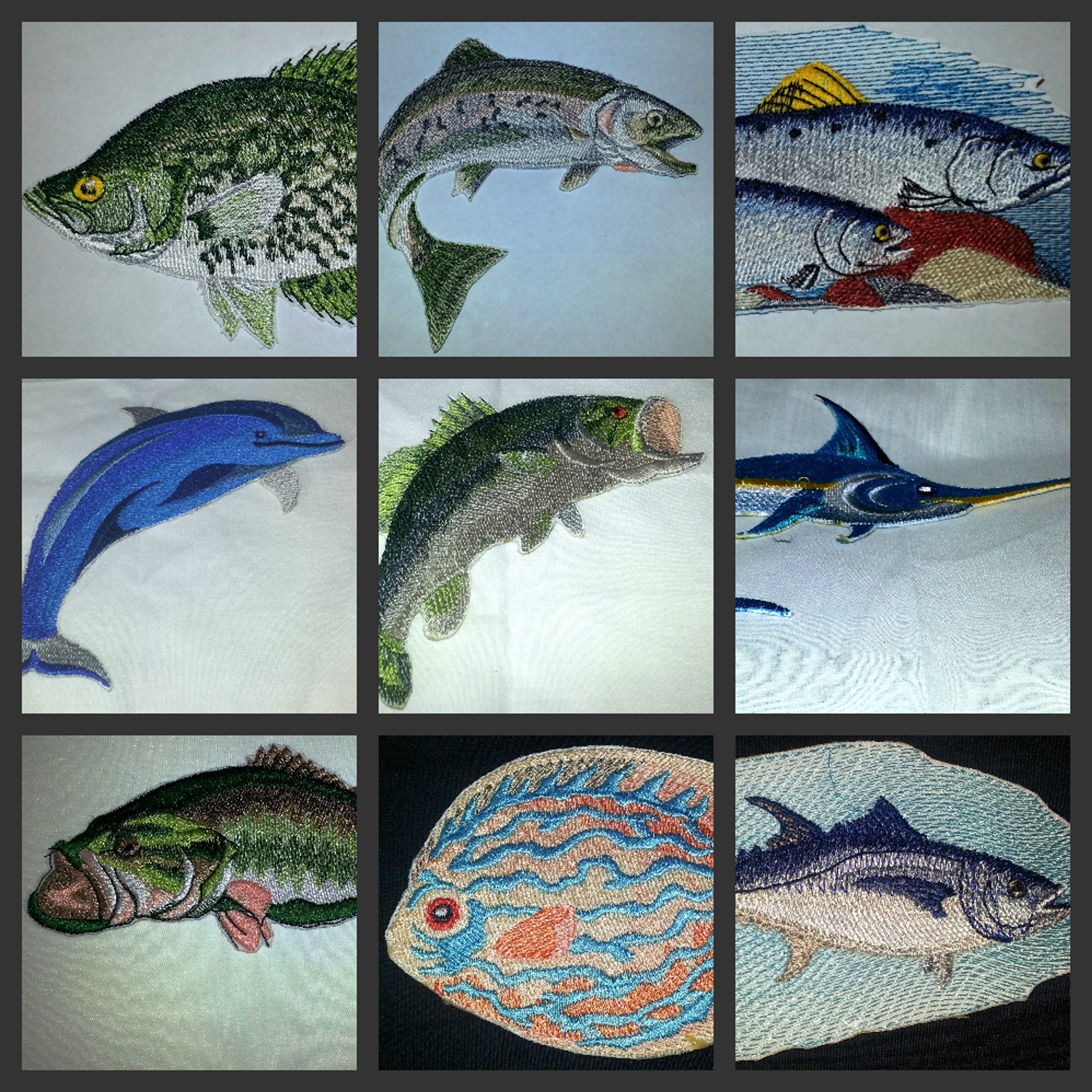 Nature's Bounty Beautiful Custom Fish Portraits [ Discus Fish] Embroidered Iron On/Sew Patch (4.5" x 3.5") Made in USA