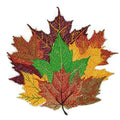 Fall at Its Best Unique Portraits [ Maple Leaves ] / (4.9" x 4.8") [] embroidered iron-on patch