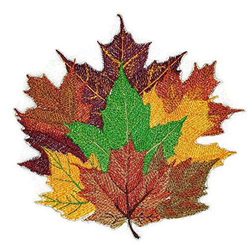 Otoño en su máxima expresión: Retratos únicos [Hojas de arce] Parche bordado para planchar o coser [12,5 cm x 12,2 cm] [Hecho en EE. UU.]