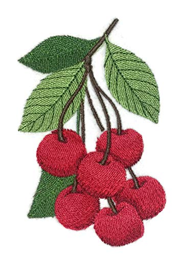 Nature Weaved in Threads, Amazing Fruits [Cherries ] [Custom and Unique] Embroidered Iron on/Sew Patch [4.4" x "3."] [Made in USA]