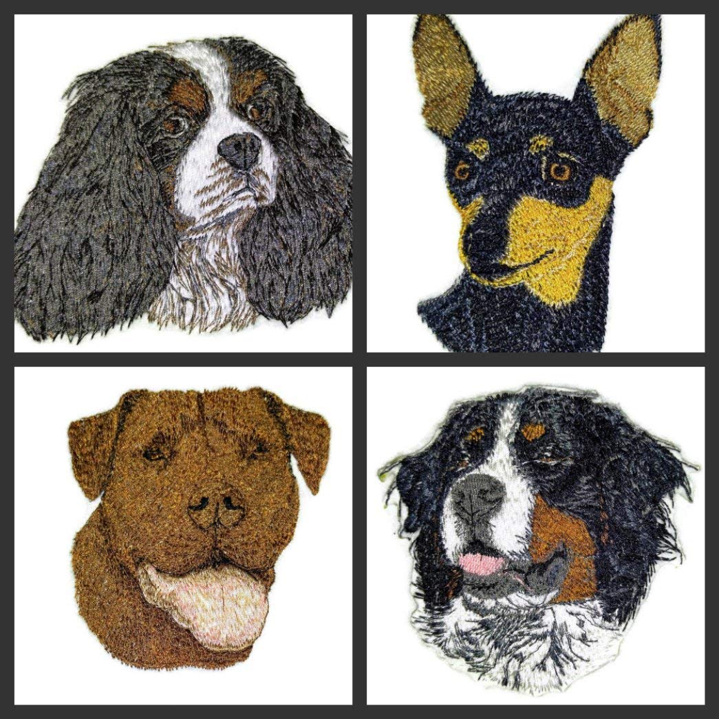 Amazing [Miniature Pinscher Dog Face] Embroidery Iron On/Sew Patch (4" x 3.27")[Made in USA]