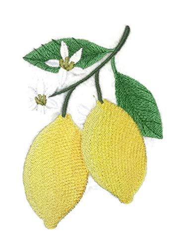 Nature Weaved in Threads, Amazing Fruits [Lemons] [Custom and Unique] Embroidered Iron on/Sew Patch (4.8" x 3.2") [Made in USA]