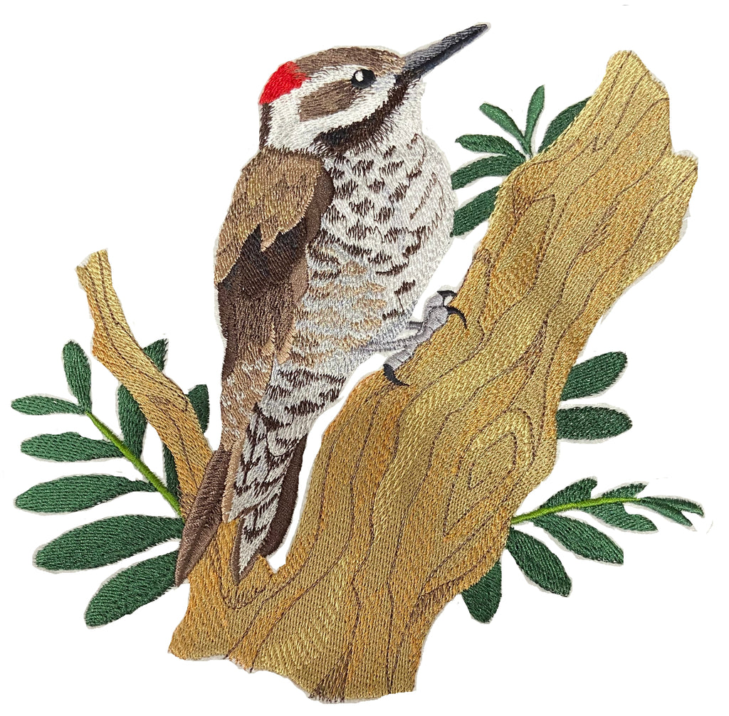 Custom Bird Arizona Woodpecker Embroidered Iron on/Sew Patch [7.66"(w) x 7.78"(h) ]