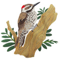 Arizona Woodpecker / – Detailed Bird Appliqué, embroidered iron-on patch