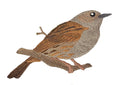 Dunnock Bird embroidered iron-on patch