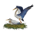 Bird Great Blue Herons Nesting / [5.5"(w) x4.8(h)] embroidered iron-on patch