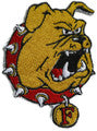 Ferris State Bulldogs