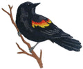 BeyondVision Nature Weaved in Threads, Birds Kingdom [Single Red Winged Blackbird Bird ] [] / (4.4" x 4.9") [] embroidered iron-on patch