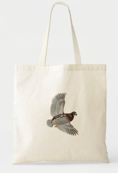 Bobwhite Quail Bird – 4.8 x 6.2 in embroidered iron-on patch