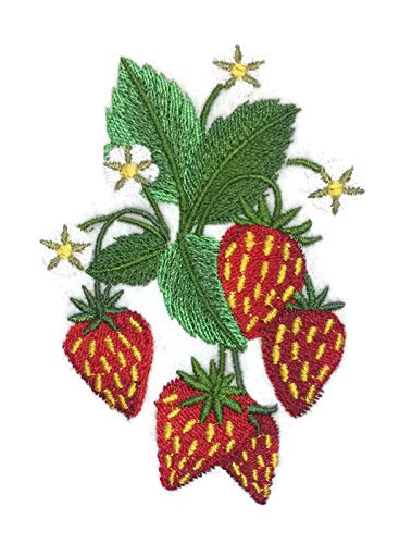 Nature Weaved in Threads, Amazing Fruits [Strawberry] [Custom and Unique] Embroidered Iron on/Sew Patch [4.4" x "3."] [Made in USA]