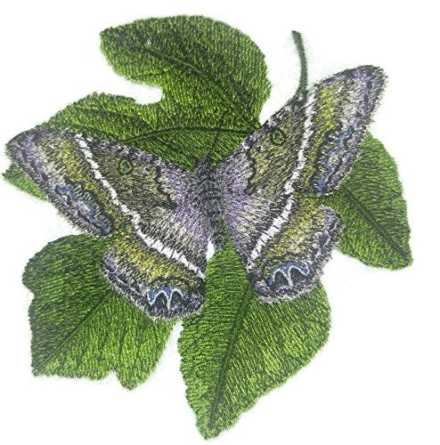 BeyondVision Custom and Unique Amazing Colorful Butterflies [Black Witch Moth ] Embroidered Iron On/Sew Patch (5" x 5") Made in USA