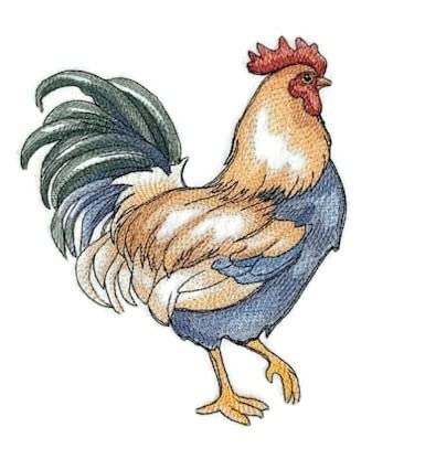 Parche bordado termoadhesivo "Naturaleza entretejida en hilos", "Gallo asombroso" [Encantador pollo campestre] [Personalizado y único] [6,89" x 6,9"] [Hecho en EE. UU.]